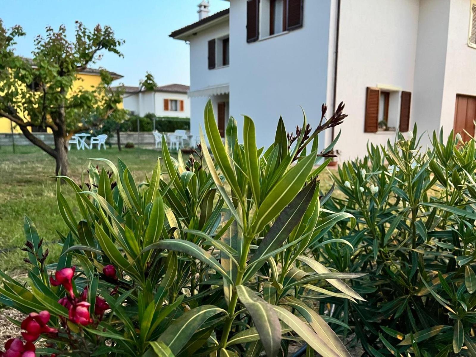 Private With Garden Apartamento Cannigione